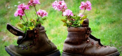 Merano Flower Festival