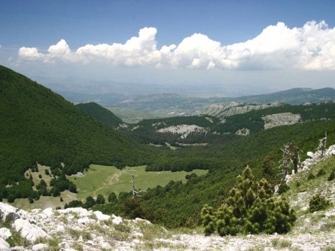 Calabria - Pollino calabro