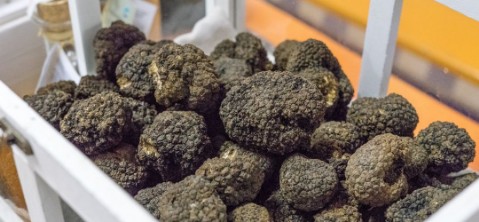 Sagra del Tartufo Bianco di Romagna a Cusercoli