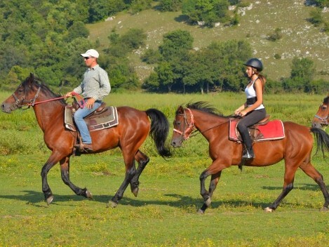 Servizi turistici - Tuscia