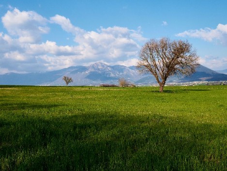 Molise – Matese