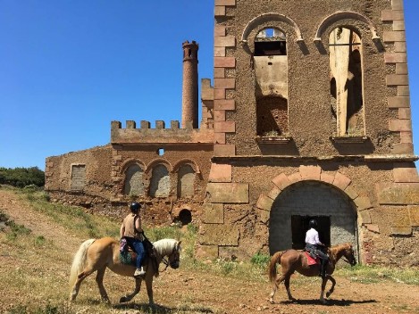 Servizi turistici - Valle del Volturno